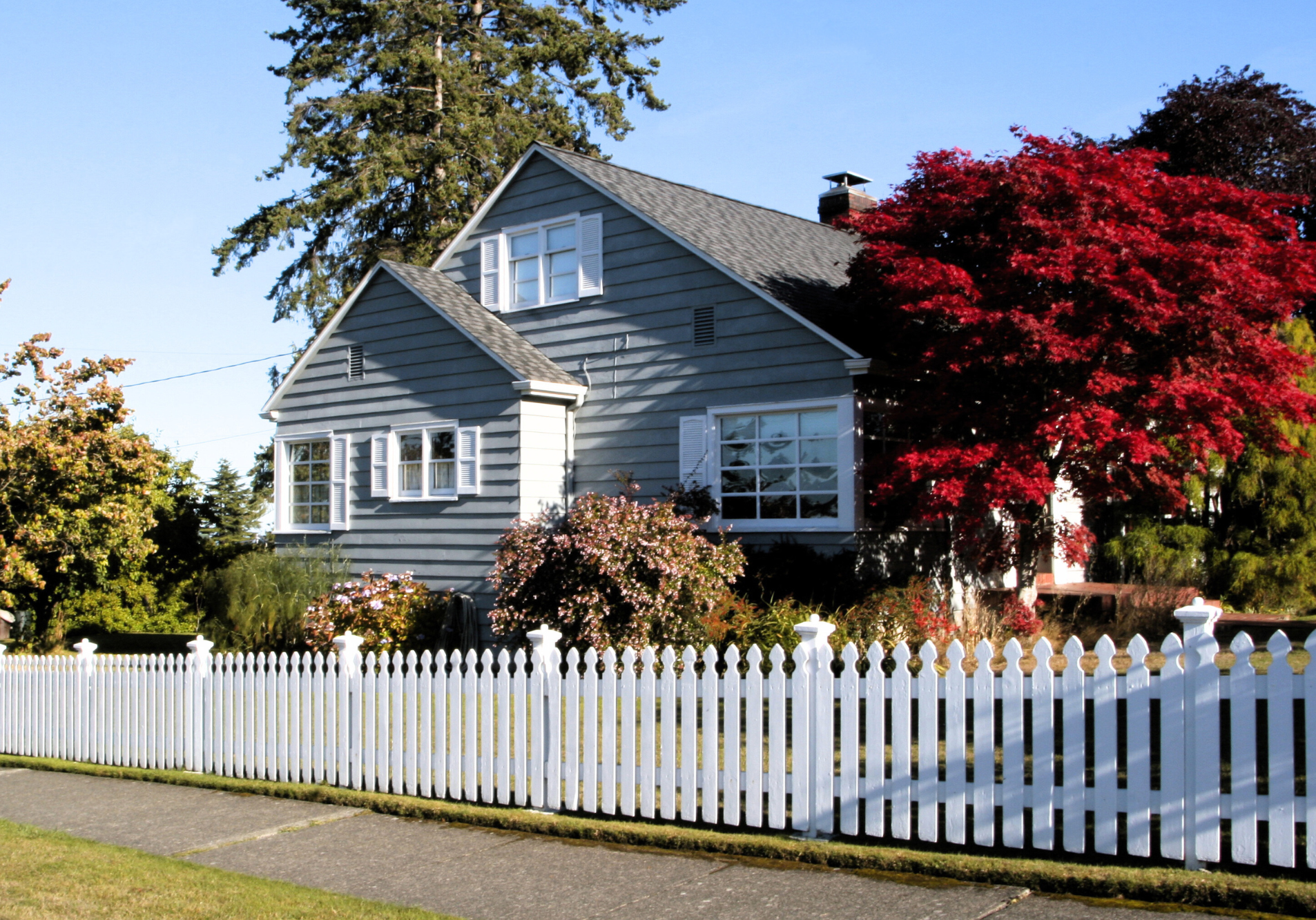 Fence Repair, Staining, and Security- Preserving Privacy and Safety