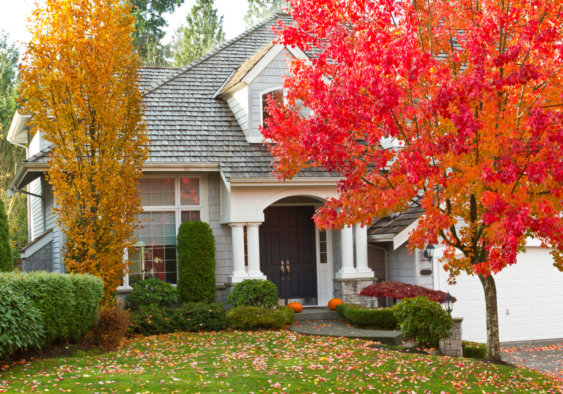 Sept_Gold Seal Services_Seasonal Home Maintenance, What Every Homeowner Needs to Know 